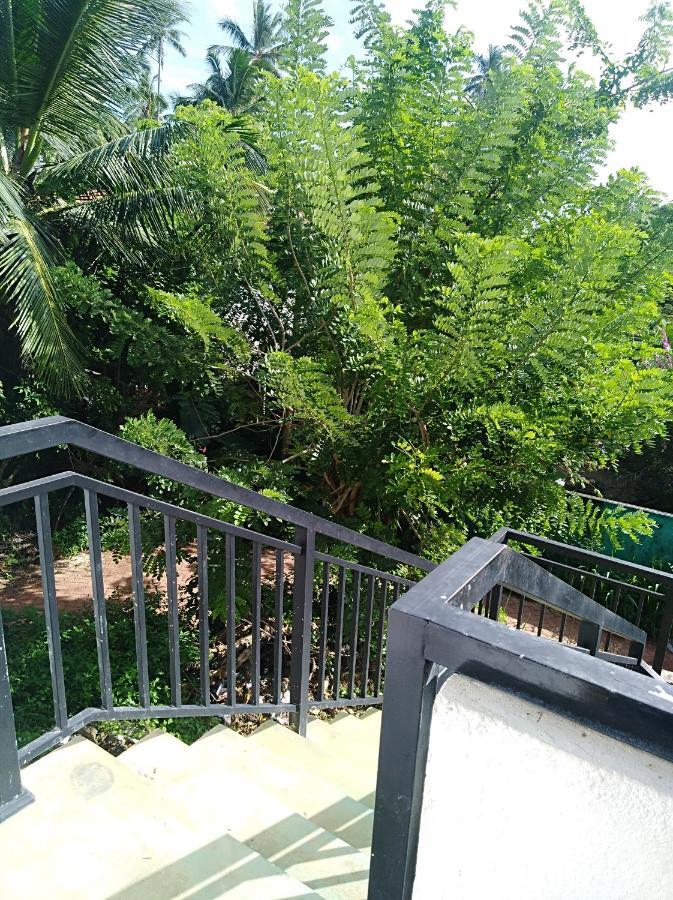 Dolphin Cottage Mirissa Buitenkant foto